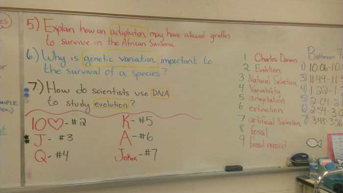 Evolution unit test answer key