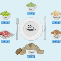 The number of grams in 2.65 mol of so2 is