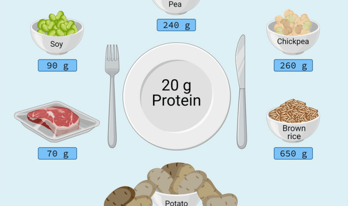 The number of grams in 2.65 mol of so2 is