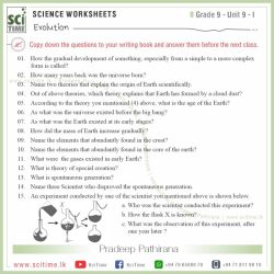 Evolution unit test answer key