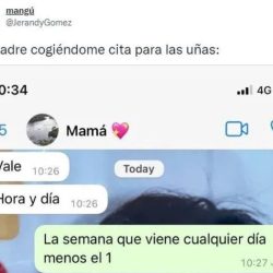 Ella saldrá con su madre. correct incorrect