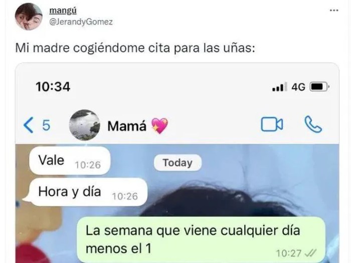 Ella saldrá con su madre. correct incorrect