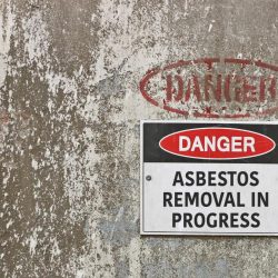 Port isabel asbestos legal question