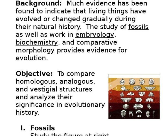 Evolution unit test answer key