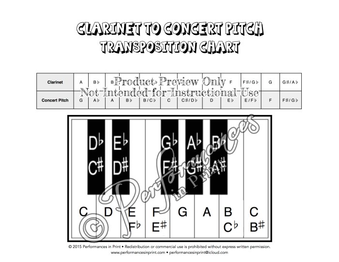 Clarinet in b flat transpose